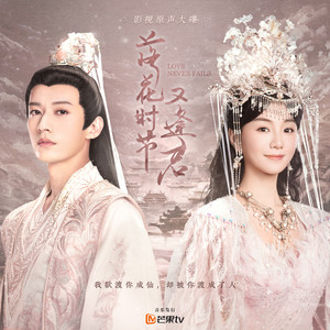 91视频网页版链接
