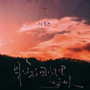 91视频网页版链接
