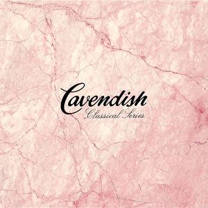 91视频网页版链接
