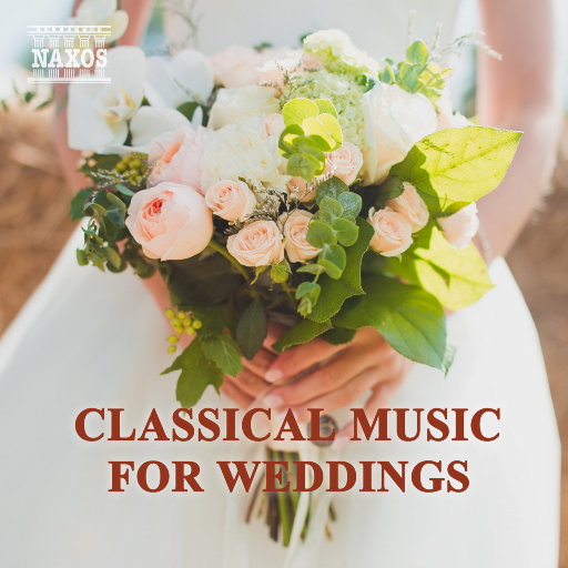 91视频网页版链接
