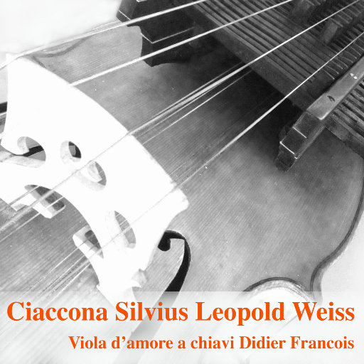 91视频网页版链接
